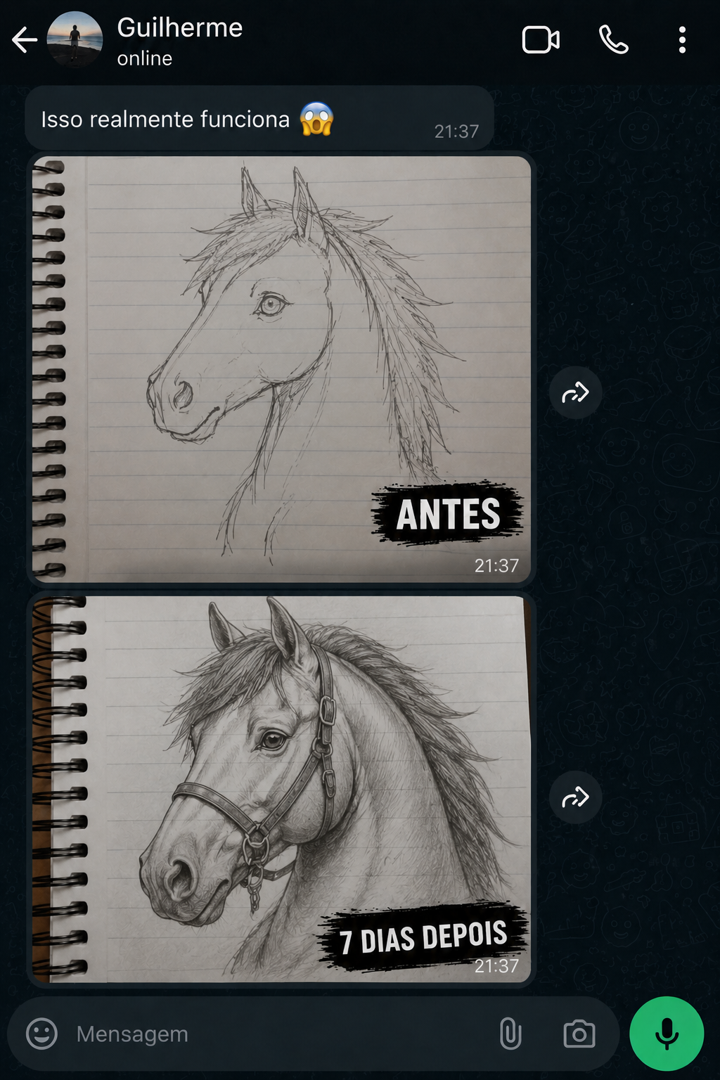 Antes e depois — aluno 6